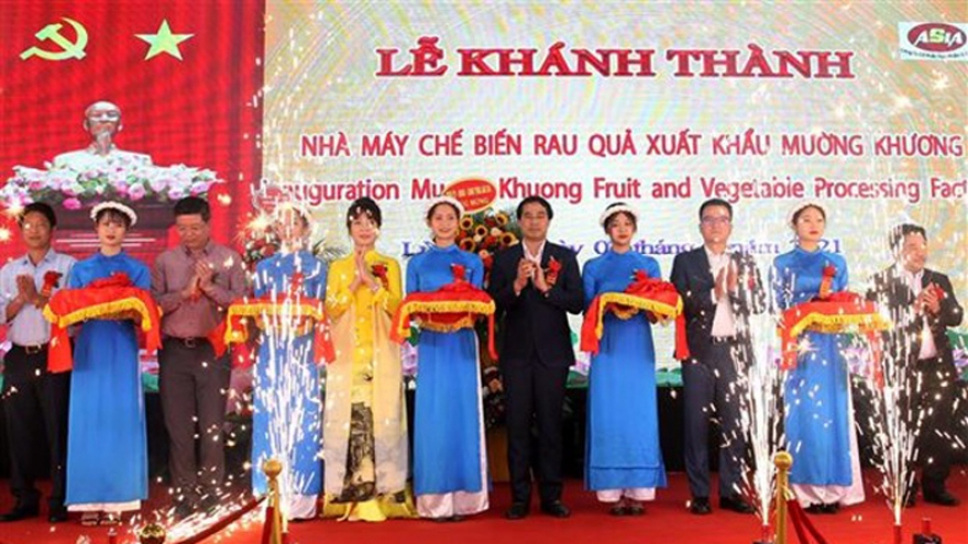 Large farm produce processing factory inaugurated in Lao Cai